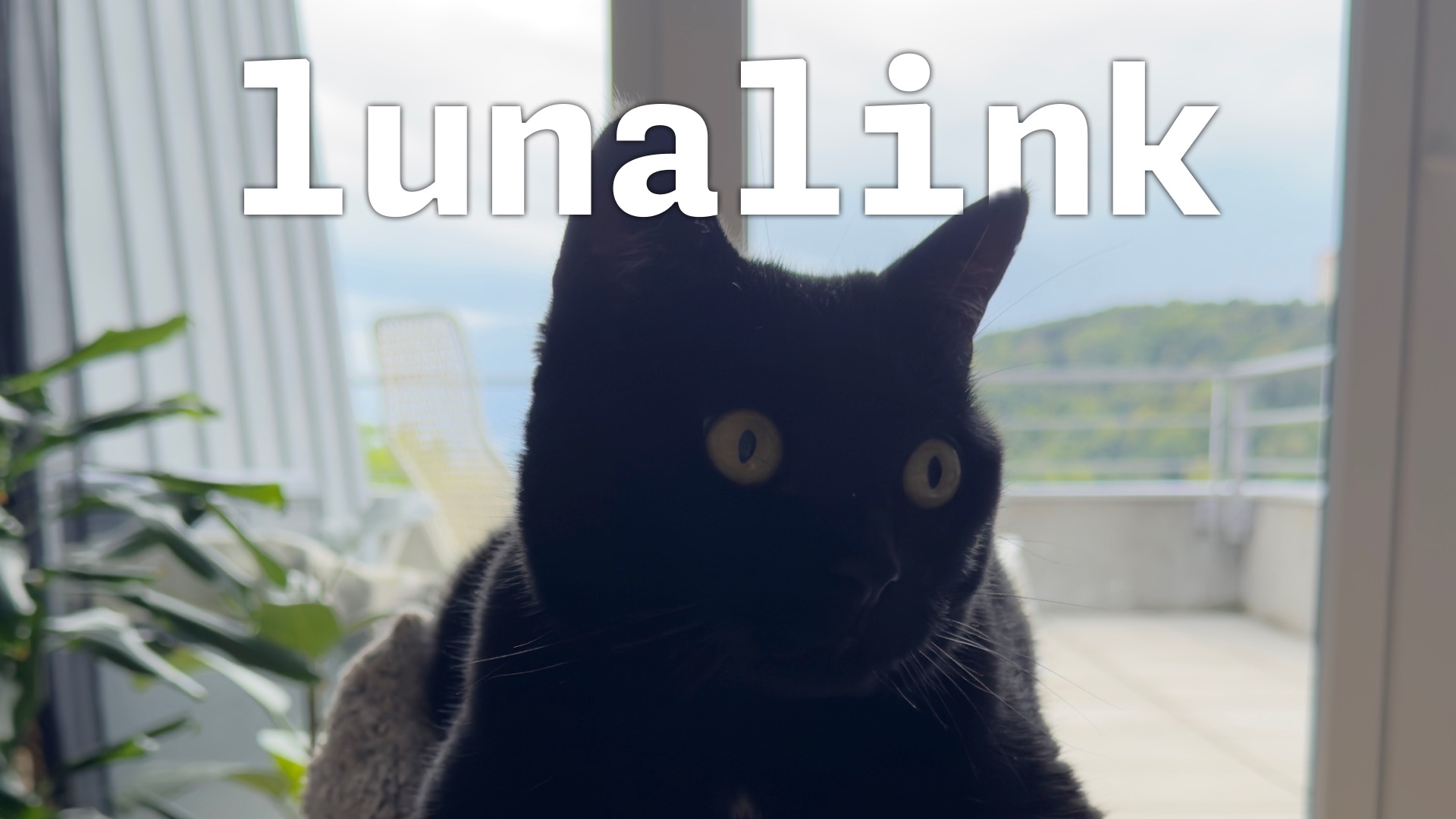 luna the cat with the title lunalink on her head