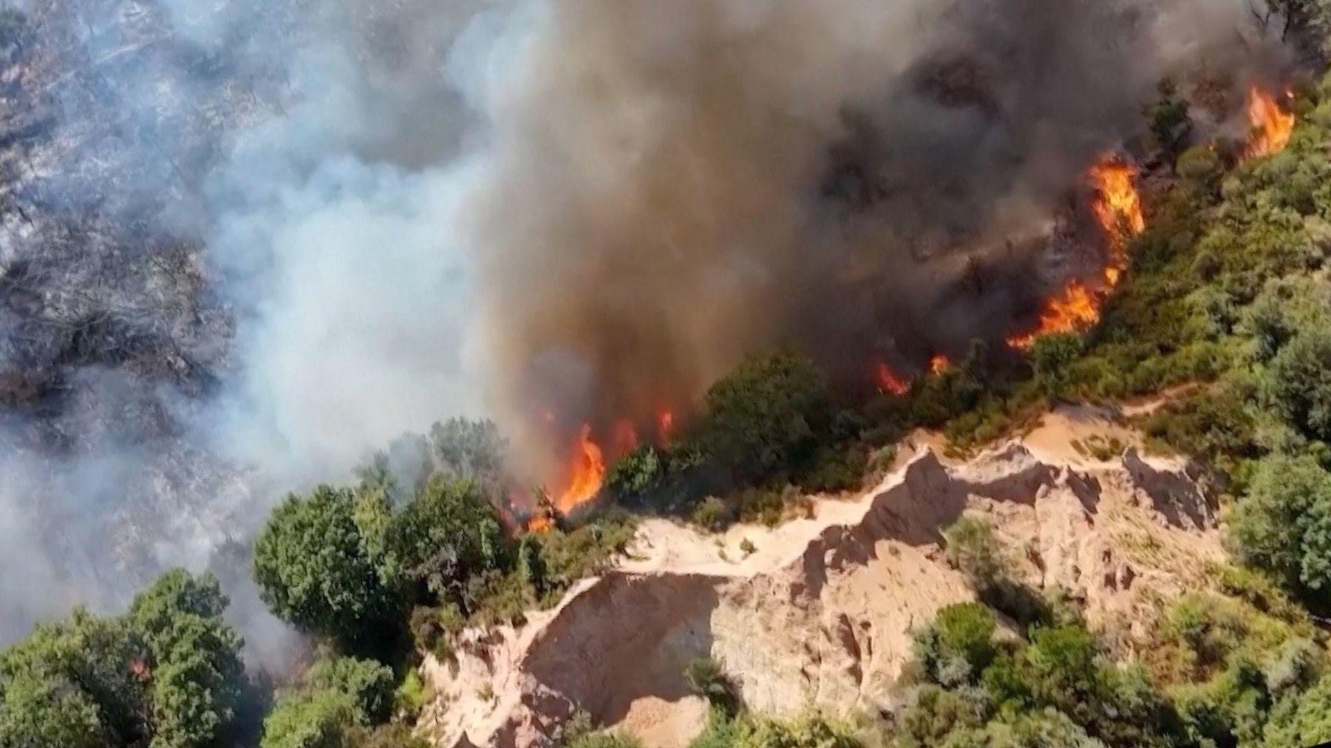 Charred ground behind a fire climbing a hill with trees