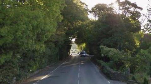 Trees lining both sides of the road on the A1 in Union Mills. A silver van is travelling on the road in the distance.