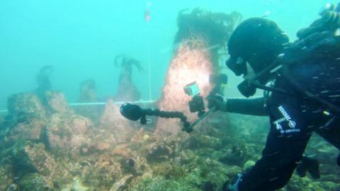A diver is holding a camera and torch examining the wall. The water is a cloudy blue colour, and the wall has algae and seaweed on it.