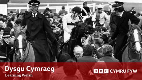 Ceffylau yn y Grand National