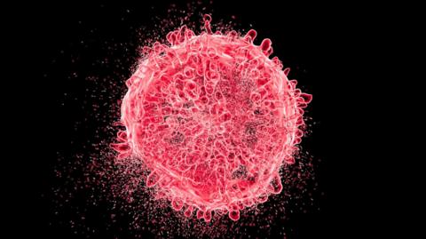 A computer-generated image of a red cell exploding