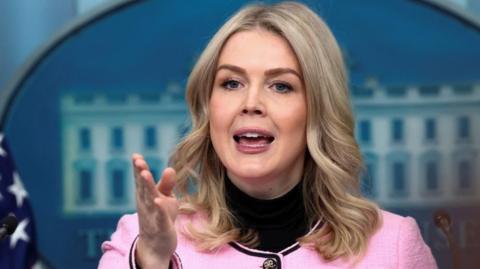 White House Press Secretary Karoline Leavitt speaks to reporters