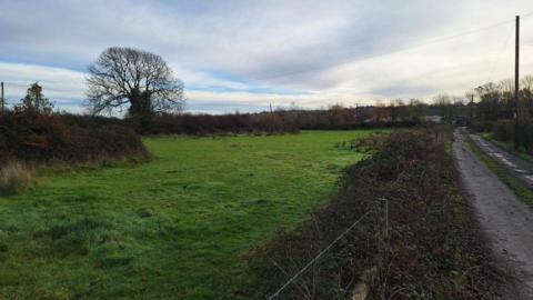 View of a field taken from The Marsh on a winter's day. The road can be seen to the right with a prominent tree on the left and a treeline in the background.