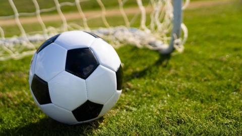 A white football with black panels on grass, with a goal net in the background