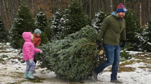 A man carries a Christmas tree along the snowy ground. He is wearing a hat and gloves, and pulls the trunk. Two children are behind at the top of the tree, wearing bright coats and wellies. The family looks excited to be taking their Christmas tree home.