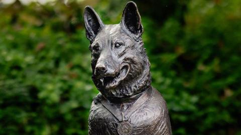 A bronze statue of Police Dog Finn. It shows a close-up of his head and shoulders as he sits up. His head his tilted to the left, his ears are pricked up and he has a medal around his neck. Behind him are blurred out trees.