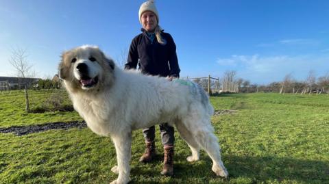 Brody looking to the left of the camera. He is a large, fluffy dog with floppy ears. His mouth is slightly open which makes it look like he is smiling. Lauren Pickthall is standing behind him with her hands on his back. She is wearing a cream beanie hat, a dark fleece, grey trousers and brown walking boots. She has blonde, long hair tied in a ponytail and is smiling into the camera. They are standing in a field which has a few small trees. Houses can be seen in the background and the sky is blue with very few clouds.