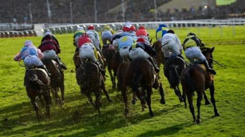 Racehorses in action