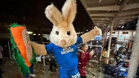 Peterborough United mascot, a white rabbit wearing the Posh blue jersey, holding an orange carrot cheering at the lights switch-on event.