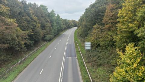 A long stretch of road with two lanes on the left, and one lane on the right. Surrounding each side of the road are thick areas of trees, bushes and grass