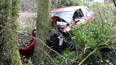 Red car crashed into tree