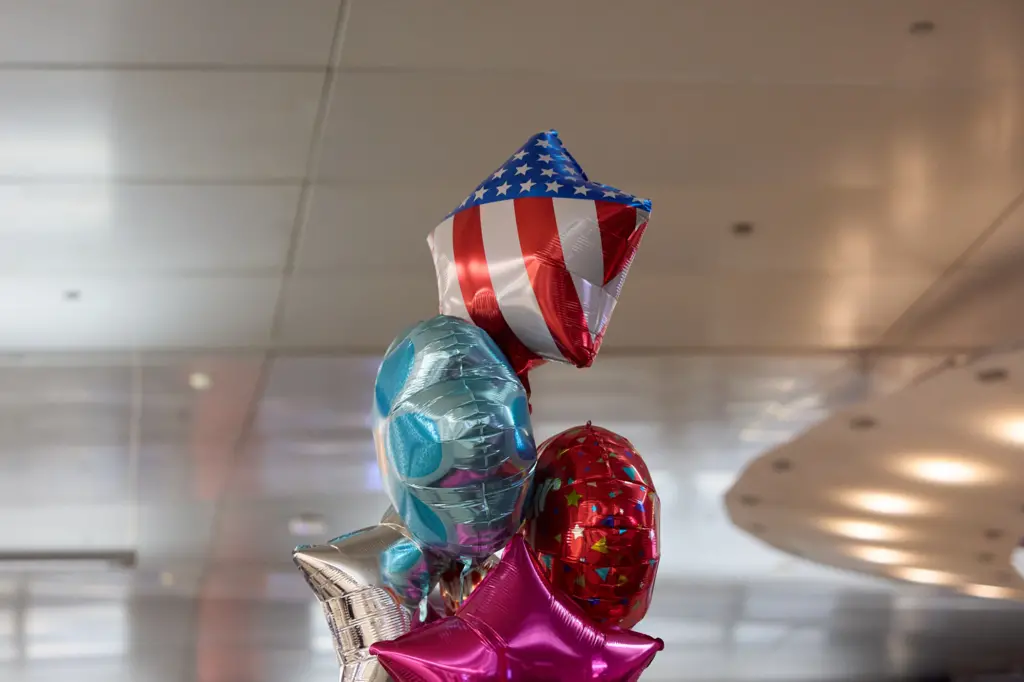 مهاجرت به آمریکا