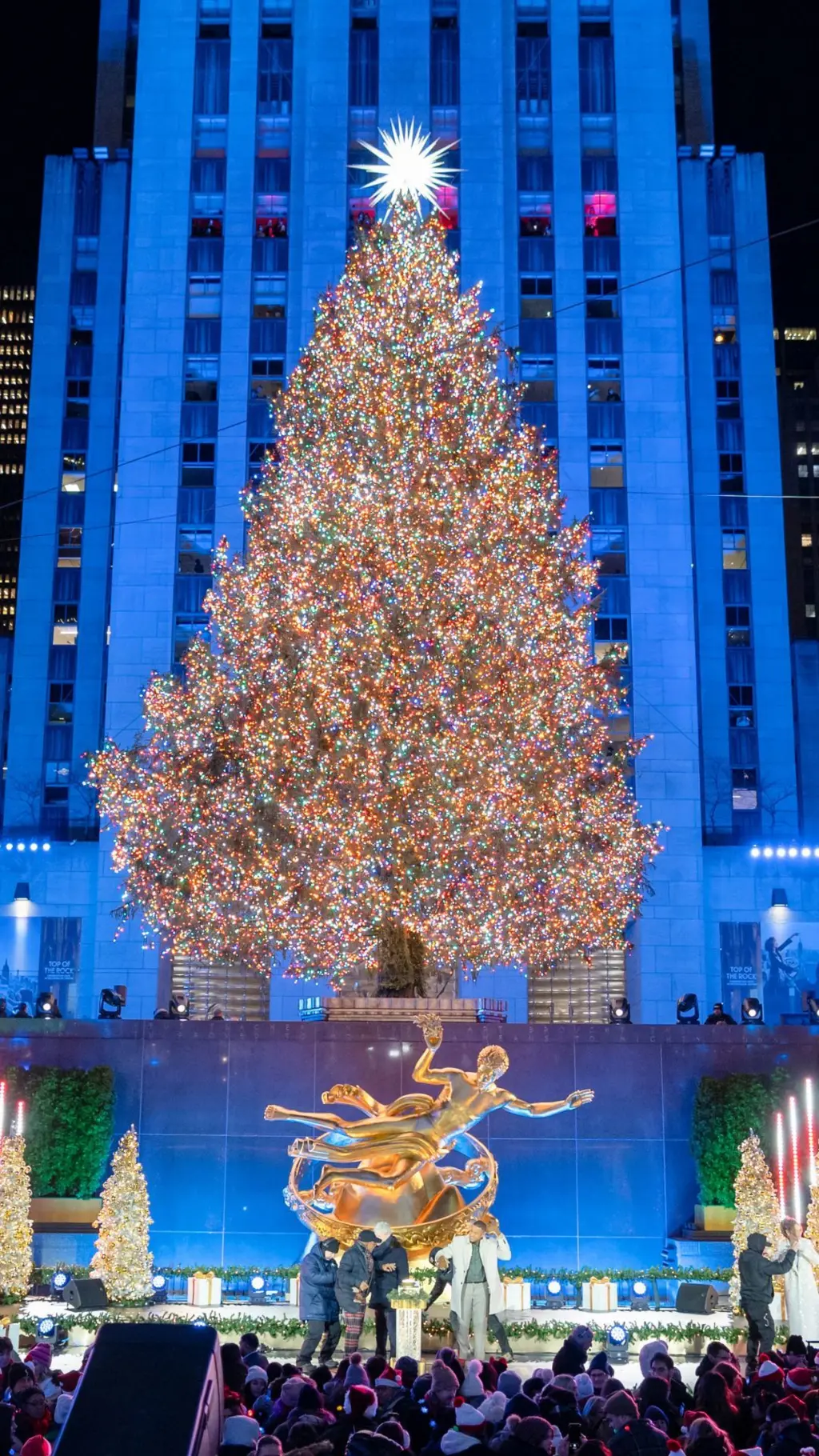 درخت کریسمس نیویورک