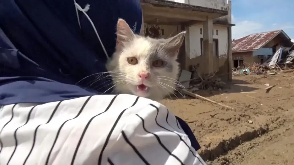 نجات «امبل» از زیر آوار یک هفته پس از سیل مرگبار اندونزی