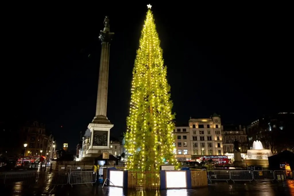 برپایی و چراغانی درخت کریسمس در خیابان ترافالگار لندن