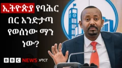 ጠቅላይ ሚንስትር ዐቢይ