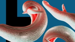 파란색과 검은색 배경이 십자 형태를 이루고 있으며 그 위에 3D 렌더링으로 구현된 주혈흡충 삽화가 겹쳐져 있다