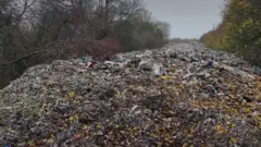 Montanha de lixo em meio a árvores
