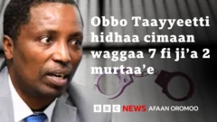 Obbo Taayyee Danda'aa