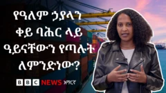 የዓለም ኃያላን ሀገራት ዓይናቸውን የጣሉበት ቀይ ባሕር