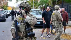 Qaamolee nageenyaa Ameerikaa