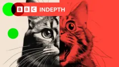 A treated image of a cat. Half is real, half is AI-generated.