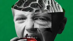 一个小孩在吃苹果的拼接图,以及一个大脑的插图