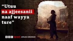 Walitti bu'iinsa Naannoo Amaaraa