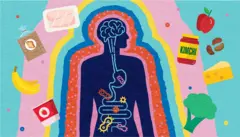 Grafika przedstawiająca połączenie między mózgiem a jelitami, z rysunkami jedzenia - w tym słoikiem kimchi, brokułem i bananem - otaczającymi sylwetkę człowieka.