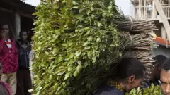 Nama jimaa qabatee deemaa jiru