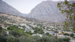 مشهد عام لقرية خلابة بمنازل ومبانٍ تتوسطها الأشجار والأراضي الزراعية، وتبدو الجبال في أفق القرية.