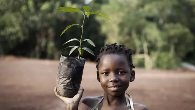 آم کے ایک پودے کے ساتھ ایک افریقی لڑکی