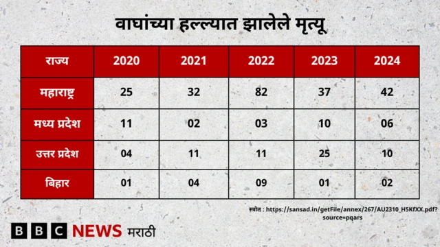 ग्राफिक्स