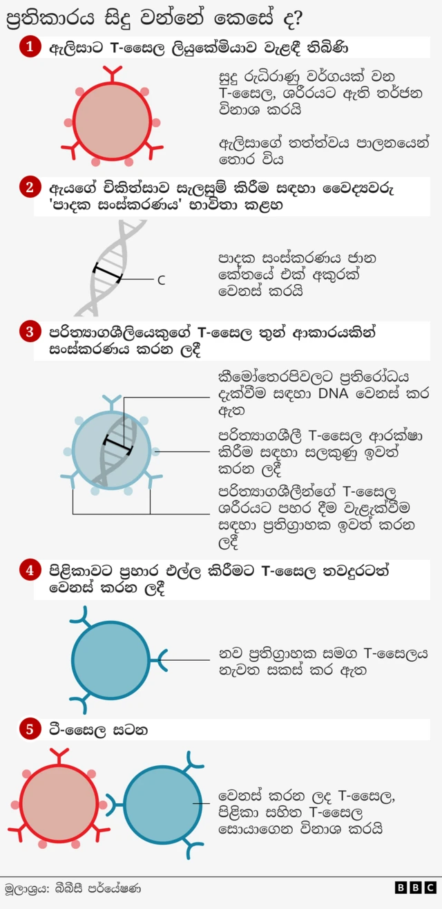 ප්රතිකාරය සිදුවන ආකාරය