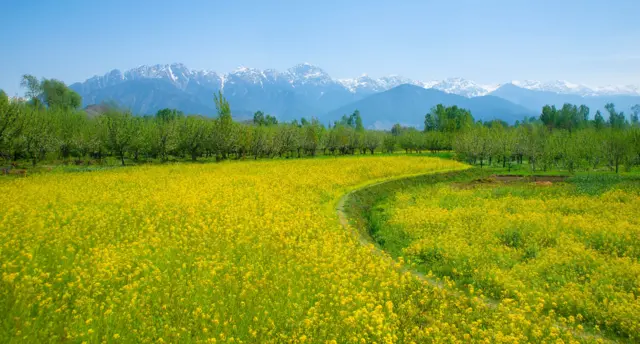 पहलगाम (संग्रहित छायाचित्र)