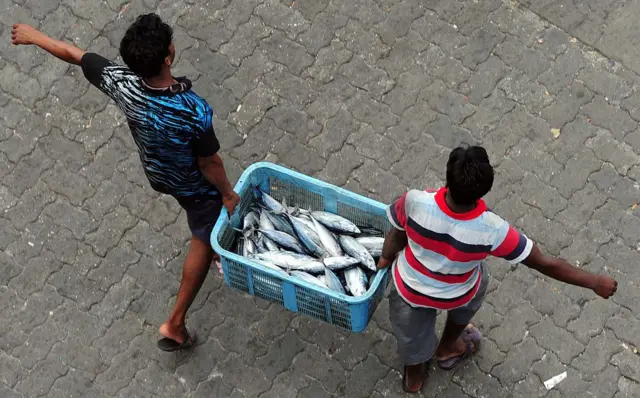 स्थानिक सर्वसामान्यांना मिळतोय पर्यटनाचा आर्थिक लाभ