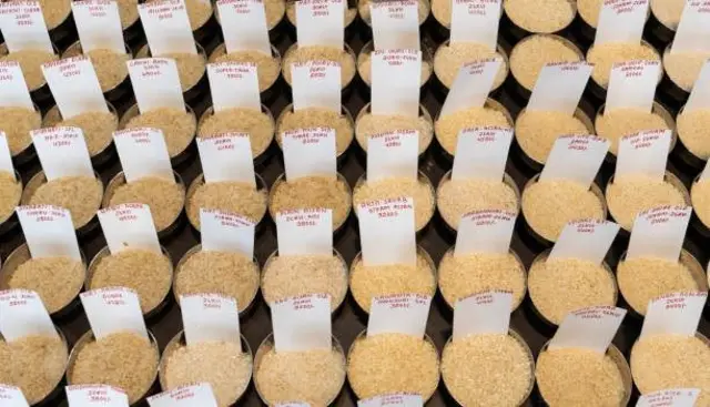 انڈیا میں مختلف اقسام کے چاول ہوتے ہیں لیکن زیادہ تر عمدہ اقسام برآمد کر دی جاتی ہیں