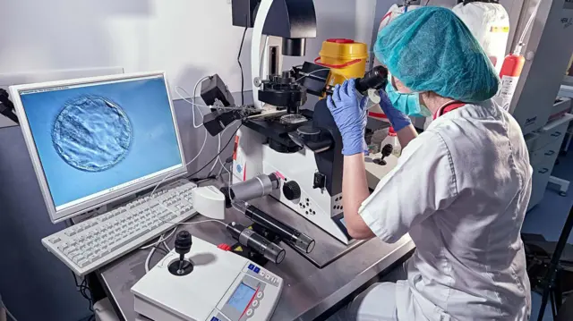 የጽንስ ሐኪም በላብራቶሪ ውስጥ በማይክሮስኮፕ እየተመለከተች ወደ እንቁላሉ የወንዴ ዘር ስትጨምር