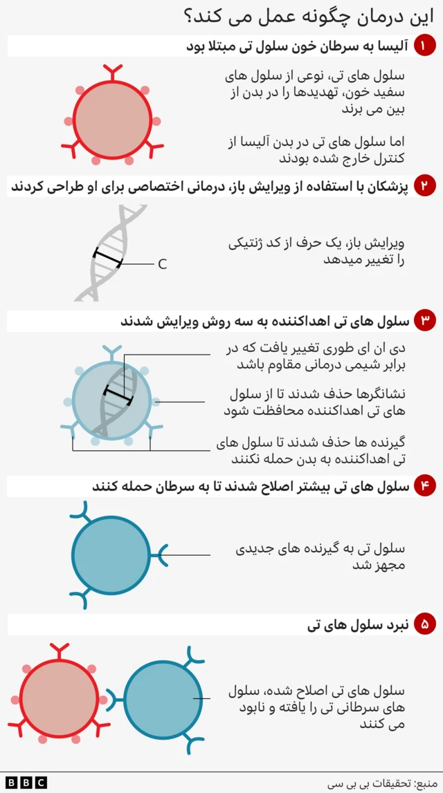 فرآیند پنج مرحلهای که نحوه عملکرد درمان را نشان میدهد. مرحله یک سلول قرمزرنگ دایرهای با ساختارهای Y شکل در سطح آن را بهعنوان سلولهای T سرطانی نشان میدهد. مرحله دو رشتهای از دیانای با یک C مشخص شده را نشان میدهد. مرحله سه سلول آبی رنگ دایرهای با دیانای درون آن را بهعنوان ویرایش سلولهای T اهدایی نشان میدهد. مرحله چهار تغییر بیشتر سلول T را نشان میدهد. مرحله پنج سلول T آبی را در حال حمله به سلول سرطانی قرمز نشان میدهد.