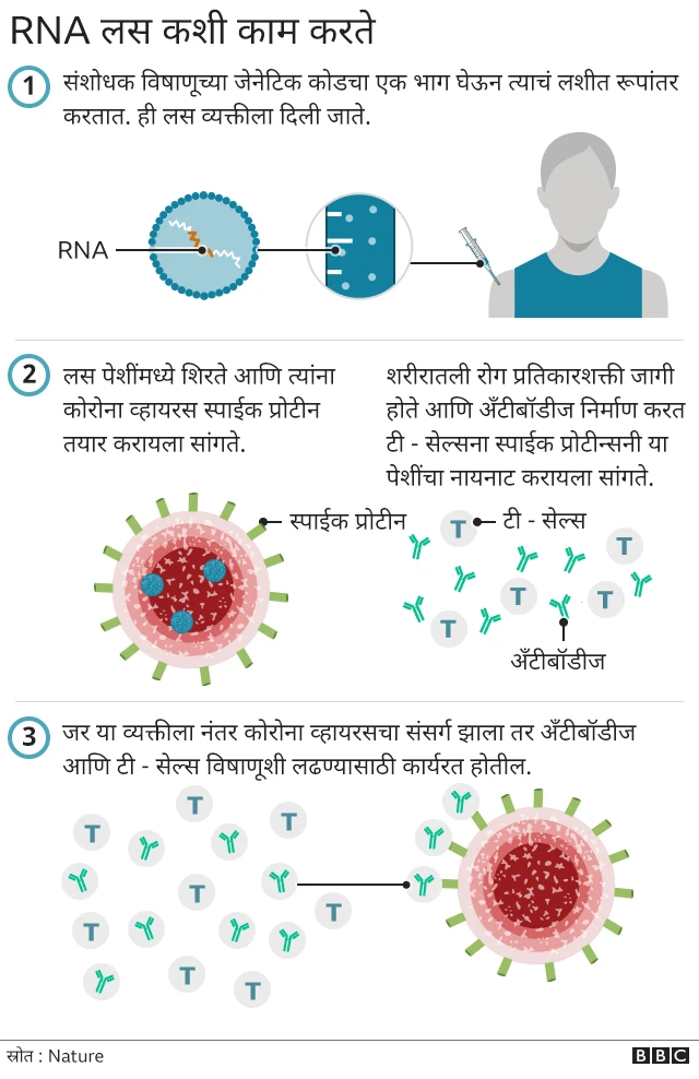 RNA लस कशी काम करते