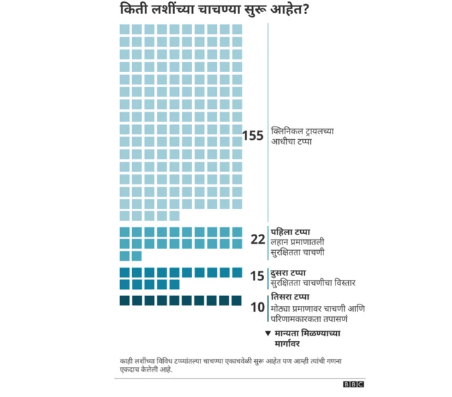 लस विकास टप्पे