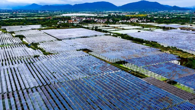 浙江湖州一处太阳能发电场上的大片光伏板(19/10/2025)