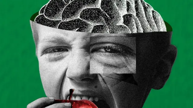 一个小孩在吃苹果的拼接图,以及一个大脑的插图