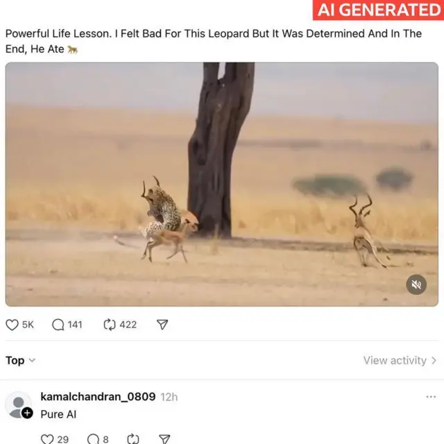 一张发布于Facebook的AI生成图片,内容呈现一场虚构的猎豹狩猎;底下有留言写着“纯 AI”