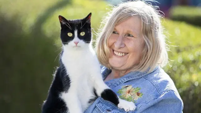 به همیزبی از سوی سازمان حفاظت از گربهها به عنوان گربه ملی انگلستان سال ۲۰۲۳ انتخاب شده است