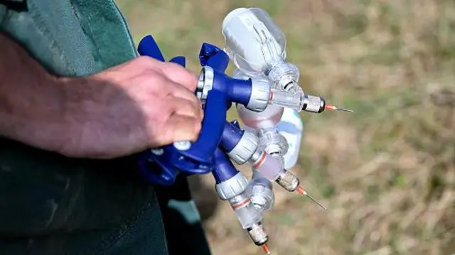 ویٹرنری ڈاکٹر کلاڈیا سالازار کہتی ہیں: 'بیماری کی روک تھام کے لیے سب سے بہتر حل ویکسین ہے۔'