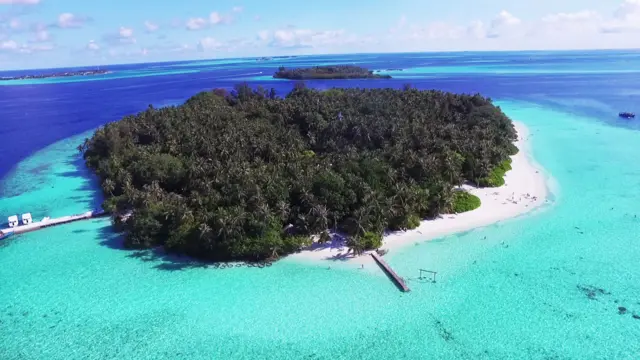 प्रातिनिधिक फोटो