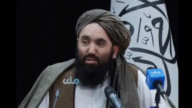 رحمت اللہ نجیب کا کہنا تھا کہ پاکستانی حکومت کو (رسمی طور پر) طالبان حکومت کے دارالافتا سے باضابطہ درخواست کرنی چاہیے۔