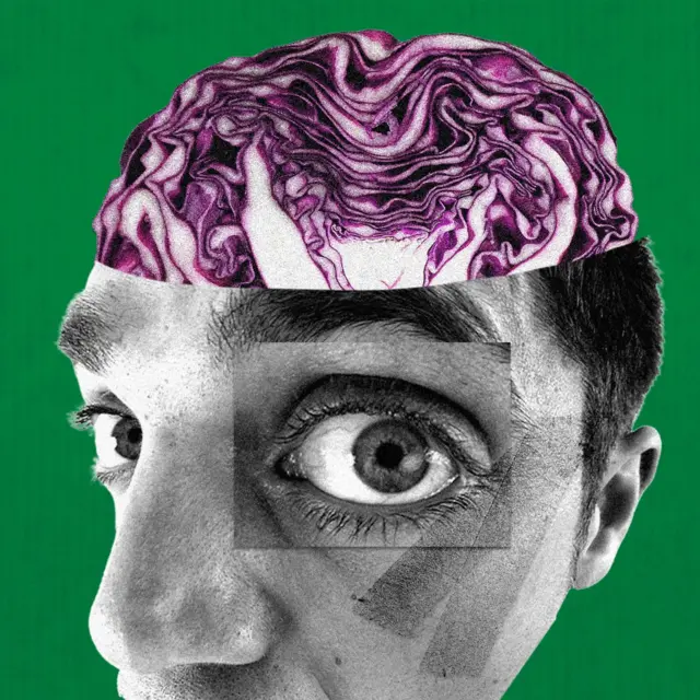 一张男人的脸与一棵紫色蔬菜的拼接图,蔬菜在头脑如同他的大脑